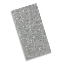 Load image into Gallery viewer, Terrazzo Light Grey 300x600mm